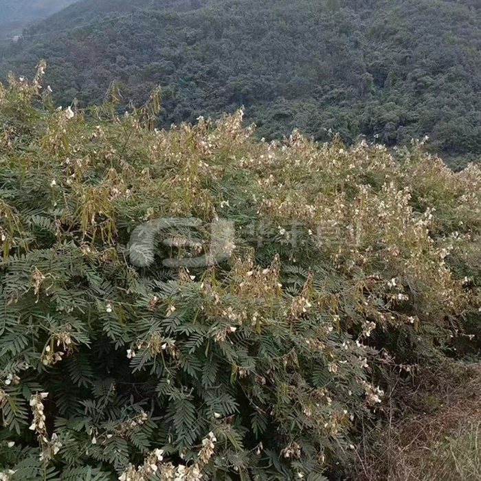 1673527587762241