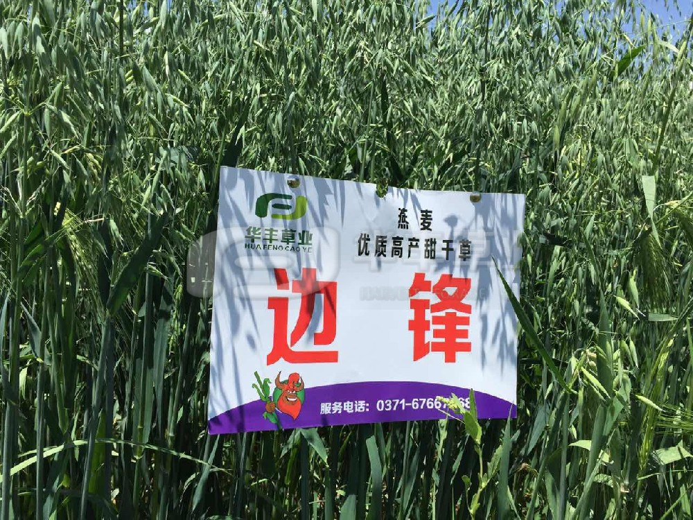 首页|bifa必发集团中国区官网